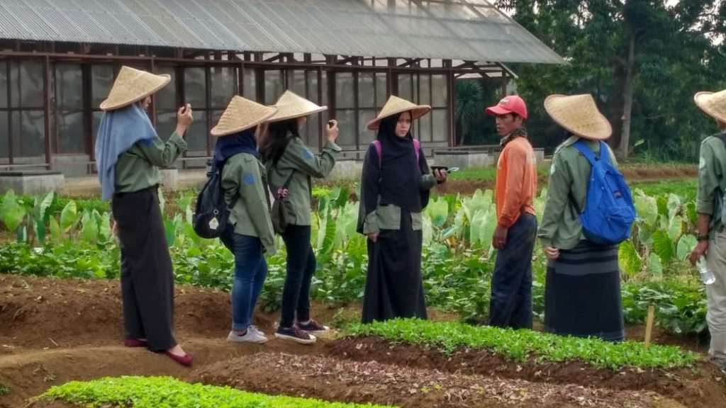 Masa Depan Cerah! Ini Prospek Kerja Jurusan Agroteknologi