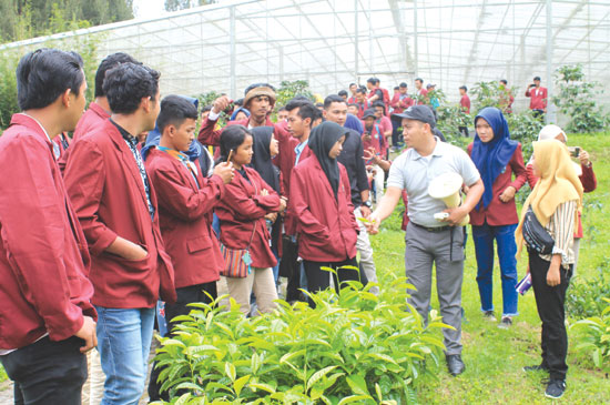 Sebagai negara agraris, alumnus yang pakar di bagian pertanian pasti benar-benar diperlukan